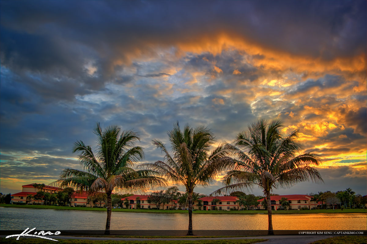 The Development of Education in Coconut Creek Over Time